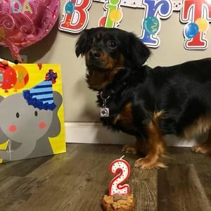 Meet your Posher, Dorothy